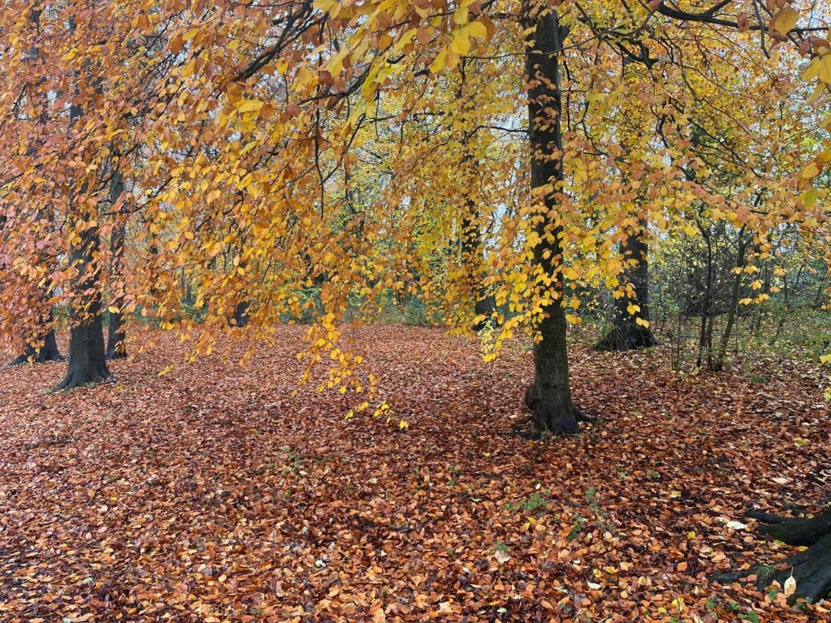 Reservoir Retreat Birmingham Bagian luar foto